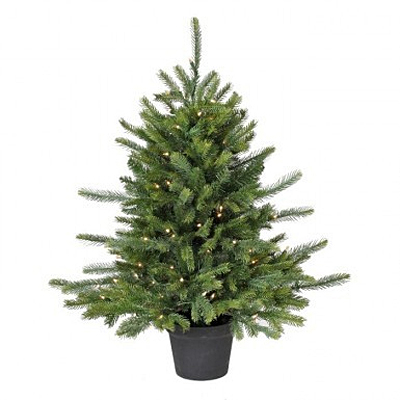 Telluride Fir Tree - 100 Light, Clear Brite