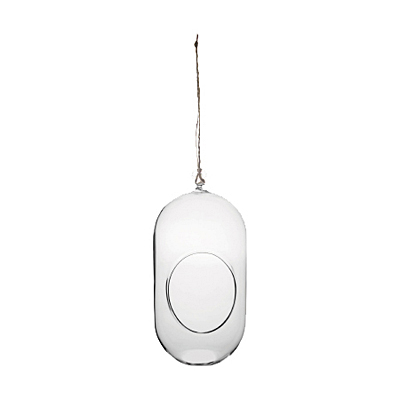 Terrarium Hanging