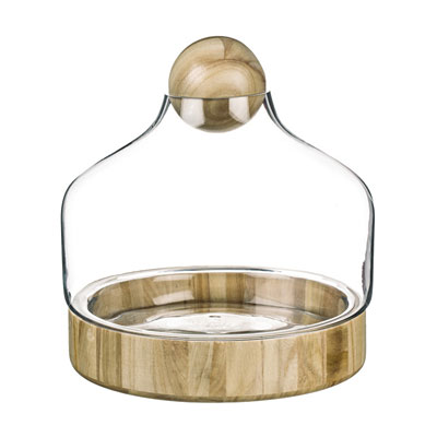 Terrarium - Wood, Glass