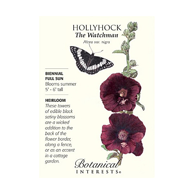 Seeds - BI Hollyhock The Watchman