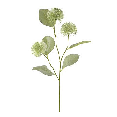 Globe Thistle Spray - Green