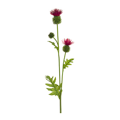 Thistle Spray - Red