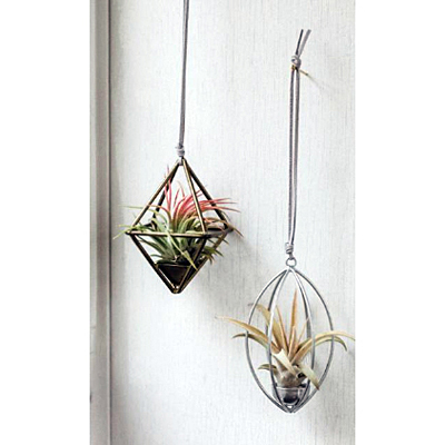 Metal Tilly Hanger Assorted with Suede Strap