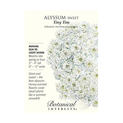Seeds - BI Alyssum Sweet Tiny Tim