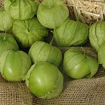 Tomatillo 'Tamayo'