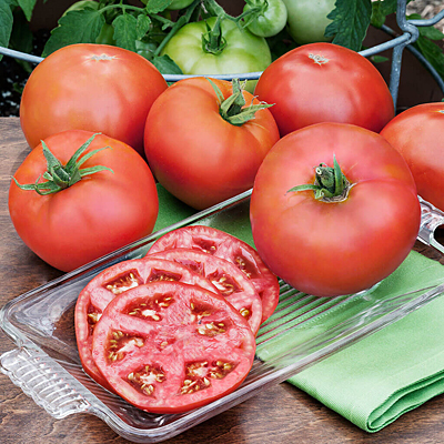 Tomato 'Heatmaster'