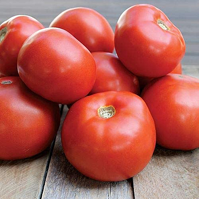 Tomato 'Jamestown'