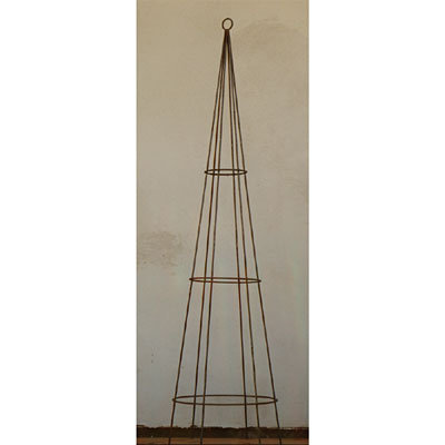 Topiary - Rusty Cone