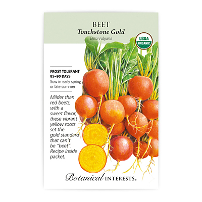 Seeds - BI Beet Touchstone Gold Org