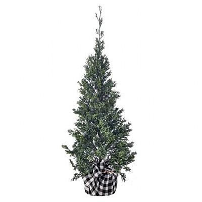 Plastic Cedar Tree In Black/White Check Base - Green