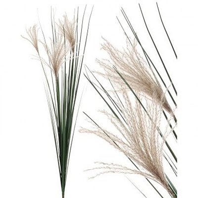 Grass - Triple Barley Spray