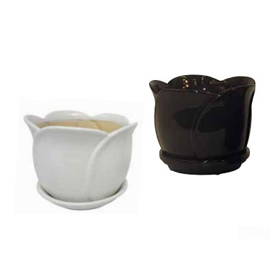 Tulip Pot with Attached Saucer - Black/White