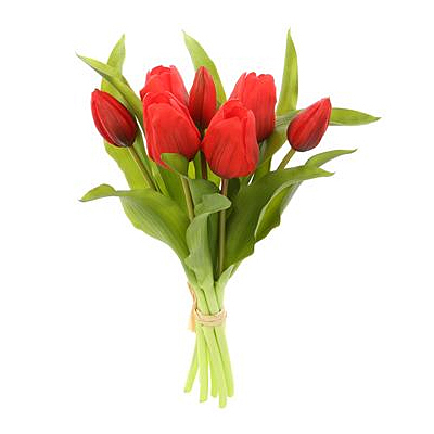 Tulip Bouquet - Red