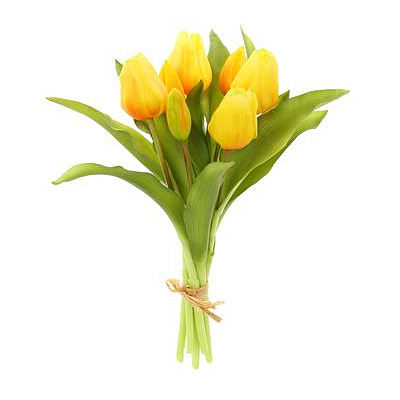 Tulip Bouquet - Yellow