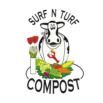 Bensons Compost Surf 'n' Turf