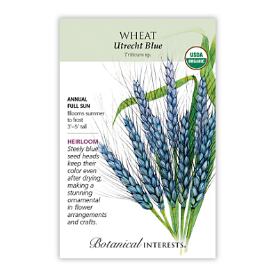 Seeds - BI Wheat Utrecht Blue Org