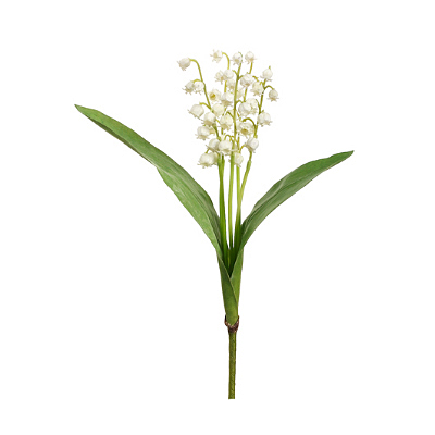 Lily of the Valley x5 Spray - Cream