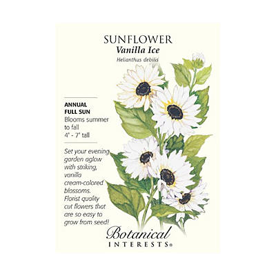 Seeds - BI Sunflower Vanilla Ice