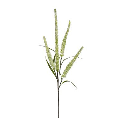 Veronica Spray - Cream/Green