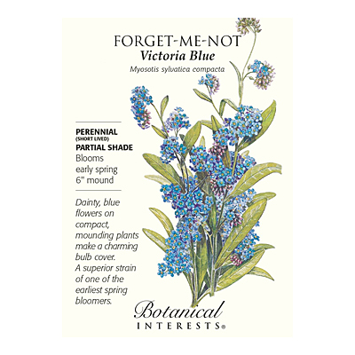 Seeds - BI Forget-Me-Not Victoria Blue