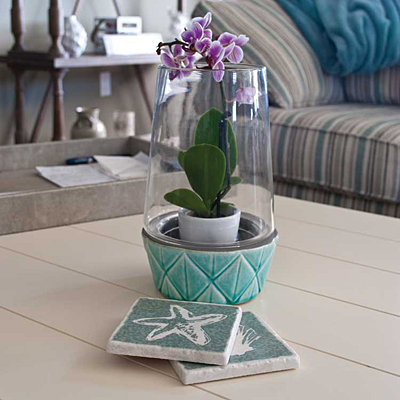Terrarium Vidro with Ceramic Dish - Teal