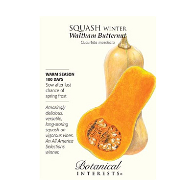 Seeds - BI Squash Winter Waltham Butternut