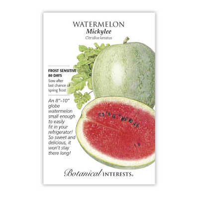 Seeds - BI Watermelon Ice Box Mickylee