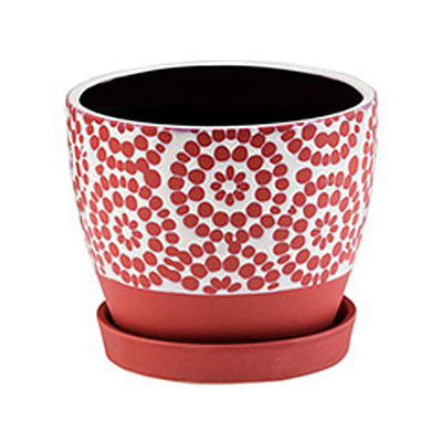 Watermelon/White Pot with Saucer