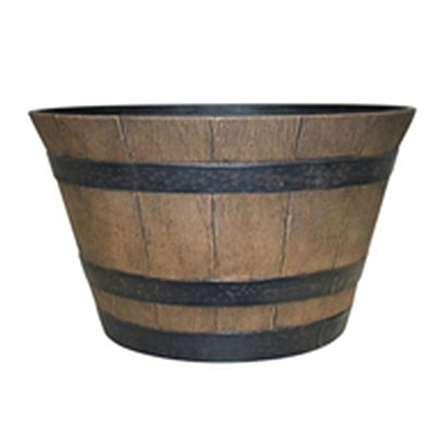 Whiskey Barrel Oak