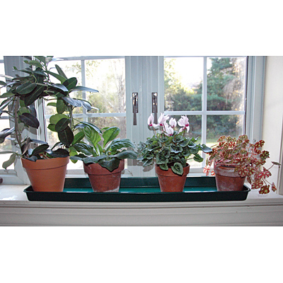 Windowsill Tray - Dark Green