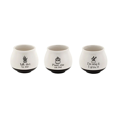 Witty Cache - White/Black