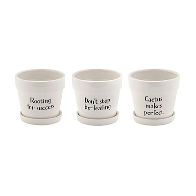 Witty Planter with Saucer