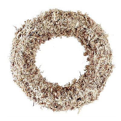 Wreath - Super Moss Succulent Round