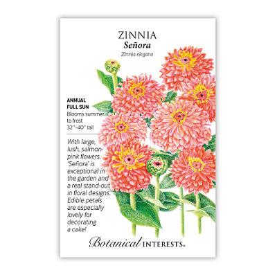 Seeds - BI Zinnia Senora