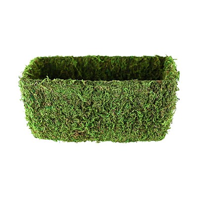 Basket - Moss Zoro Moss