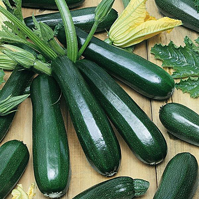 Squash 'Zucchini Dark Green'