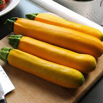 Zucchini