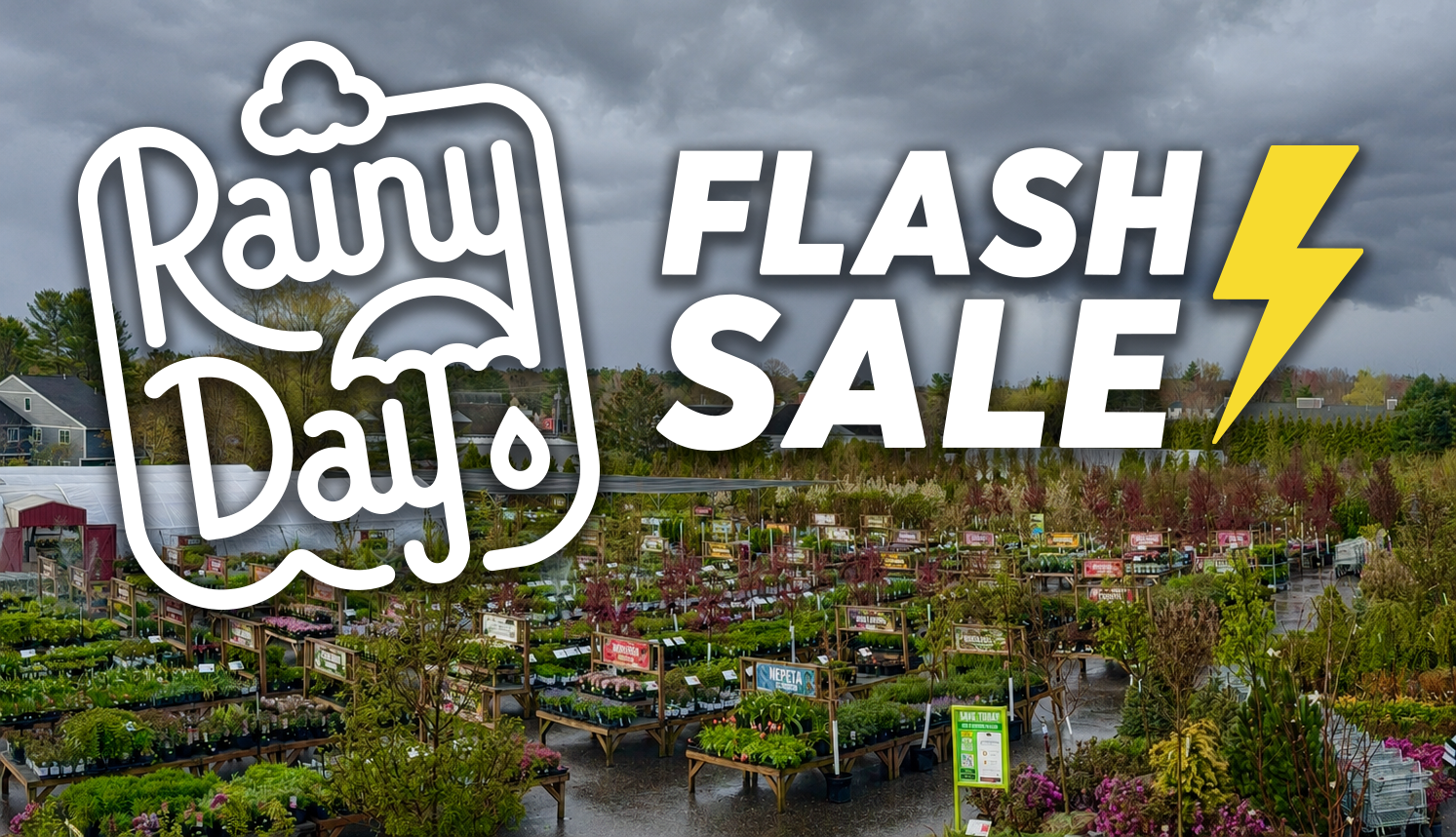 Rainy Day Flash Sale