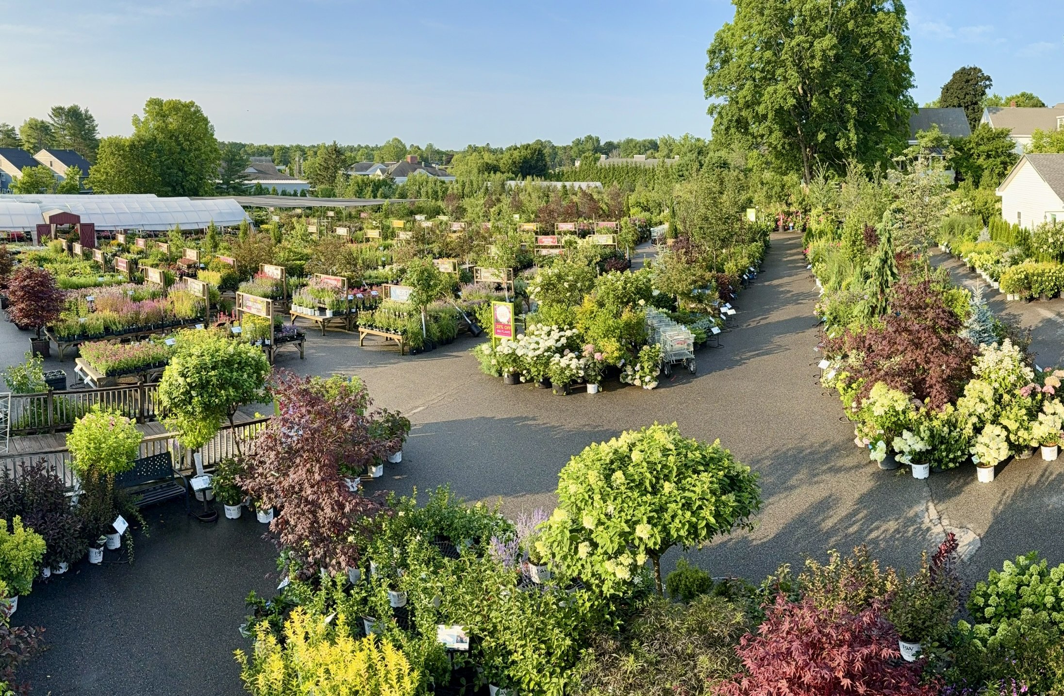 Aerial view of colorful plant displays at Estabrook's Yarmouth garden center