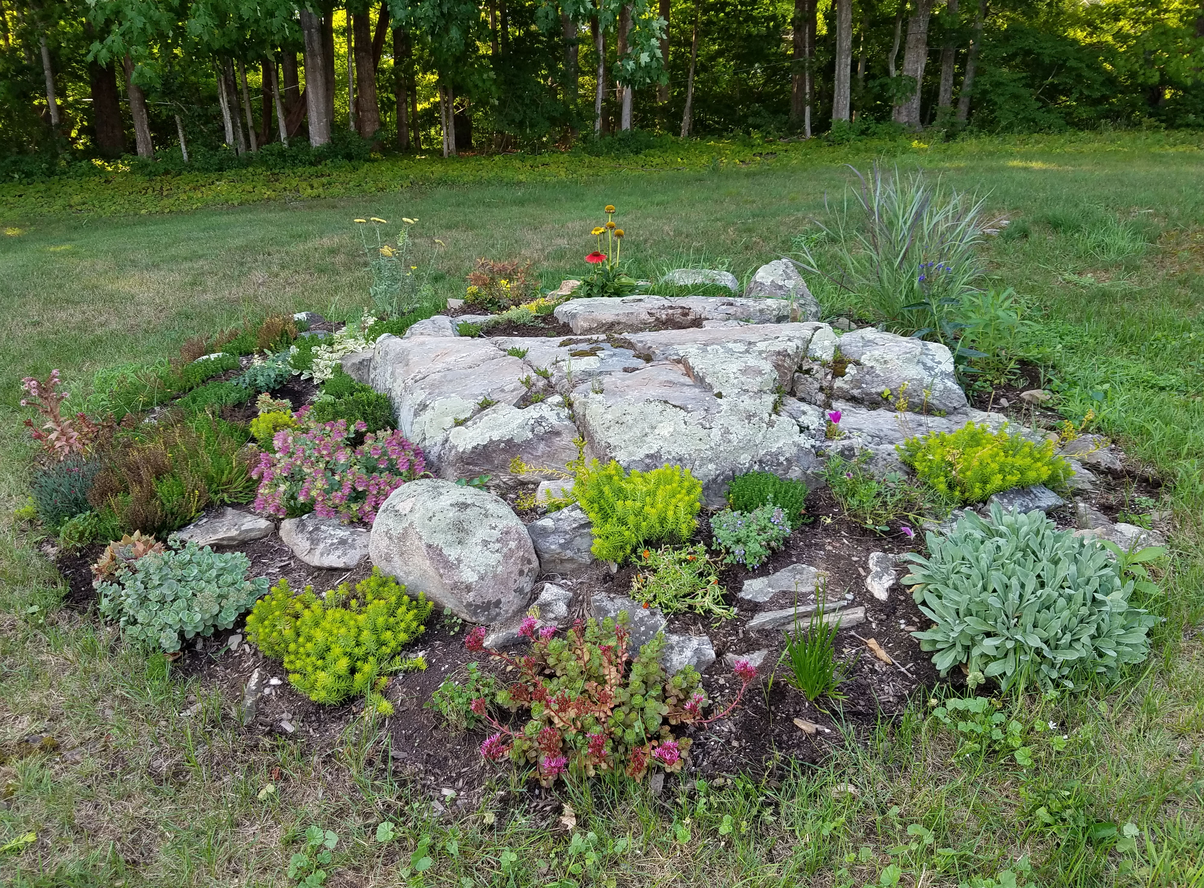 Rock Garden