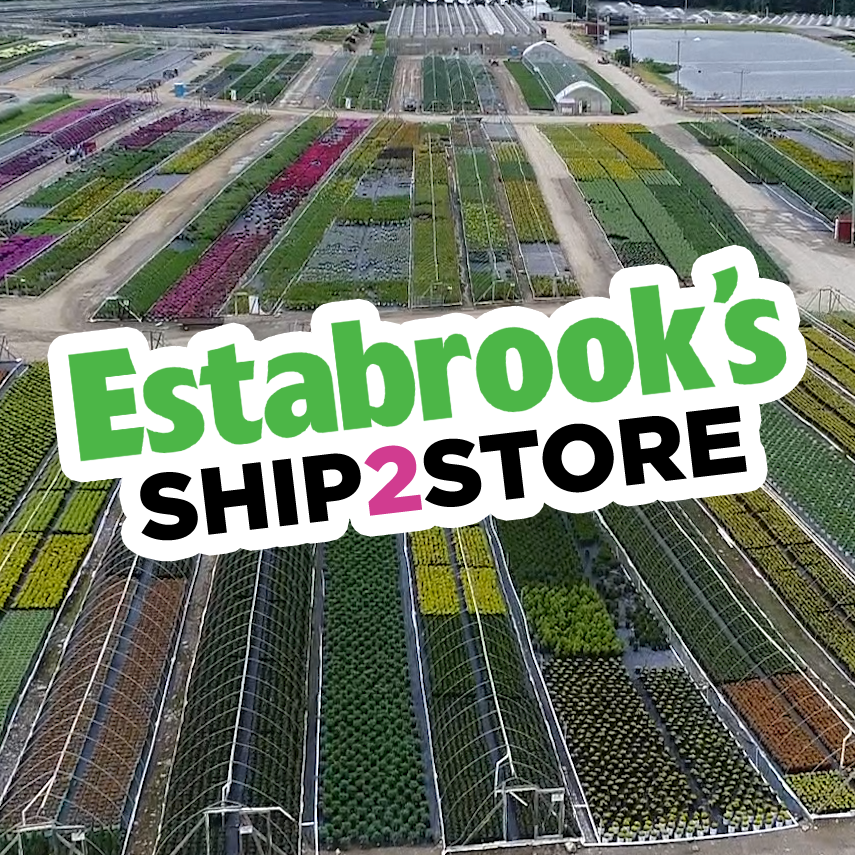 Estabrook's Ship2Store nursery and logo
