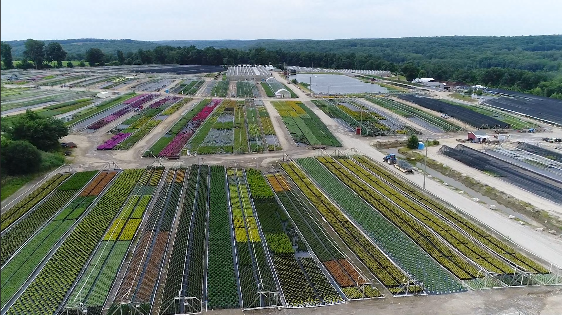 The partner nursery supplying Ship2Store plants