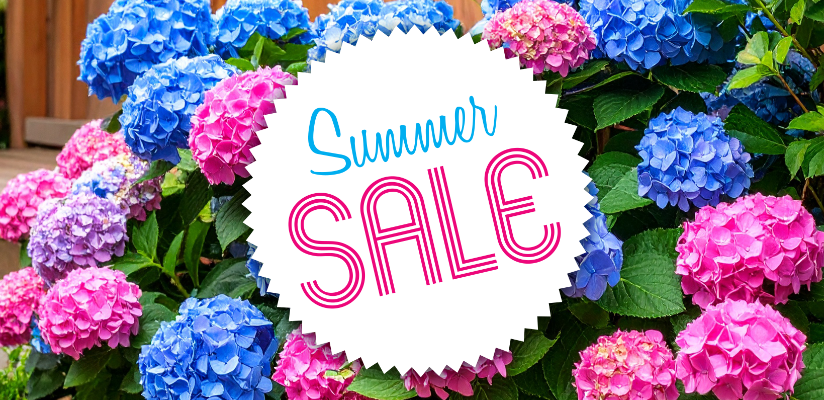 Summer Sale
